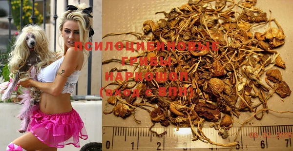 спиды Абинск