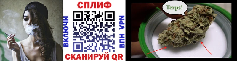 где можно купить наркотик  Липецк  Марихуана SATIVA & INDICA 